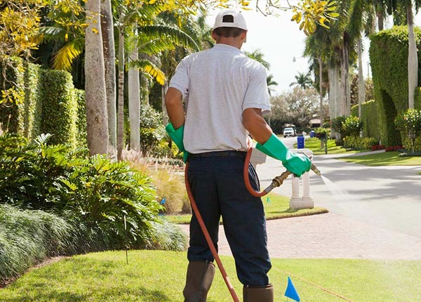 About Severn VA Pest Control